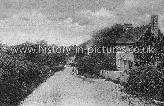The Village, Little Baddow, Essex. c.1904